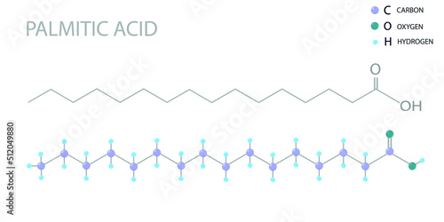 Palmitic acid molecular skeletal 3D chemical formula. 