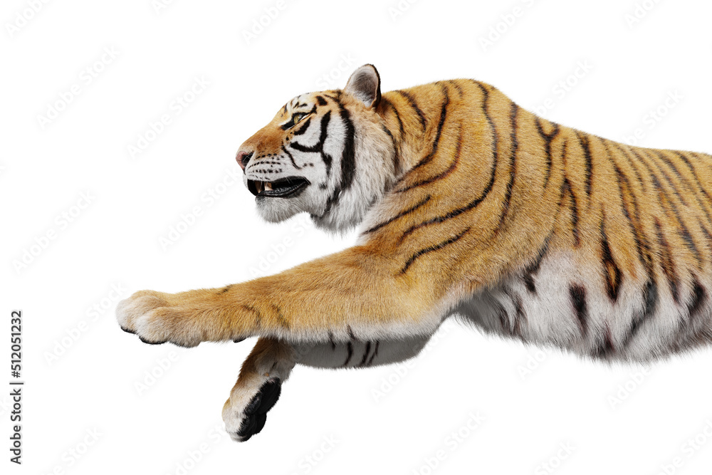 Foto Tiger jumping attack isolated