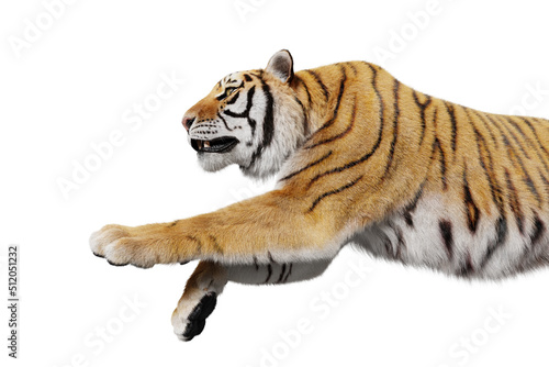 Foto Tiger jumping attack isolated
