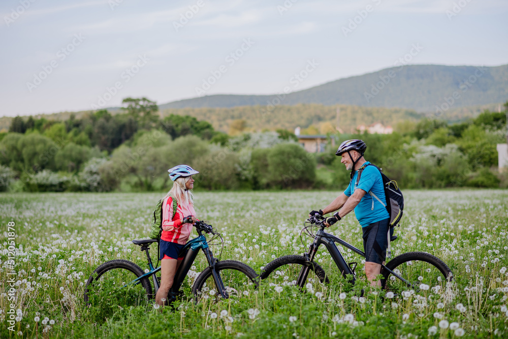 Fototapeta premium Active senior couple with electric bicycles on meadow in summer, healthy lifestyle concept.