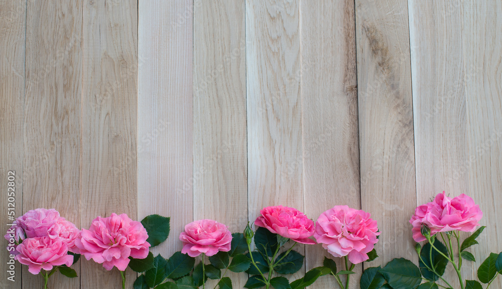 Pink roses on ash and oak wooden planks background border with copy space.