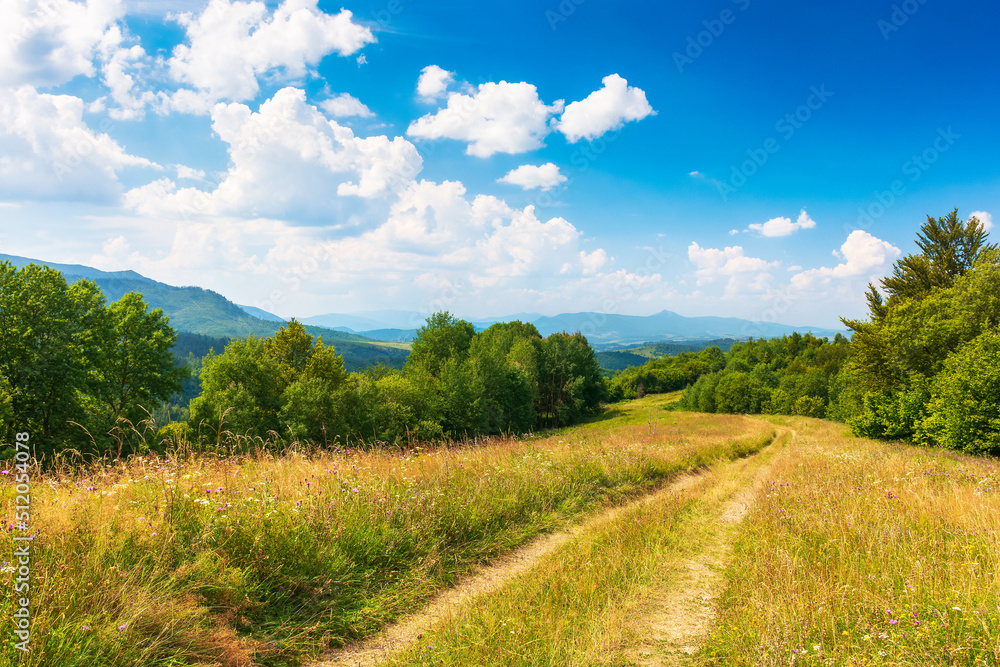 idyllic alpine landscape with green meadows and trees. panoramic view of beautiful wonderland scenery in summer. country road through grassy field on sunny day. sky with fluffy clouds in evening light