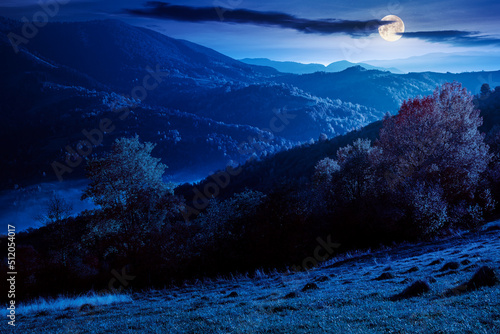 countryside rural landscape in autumn at night. trees in colorful foliage on rolling hills. hazy scenery in full moon light. nature beauty of carpathian mountains