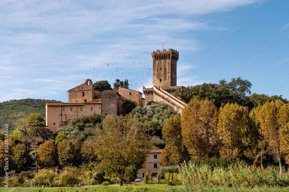 A flock of birds on the beautiful medieval fortress of Vicopisano, Pisa, Tuscany, Italy A flock of birds on the beautiful medieval fortress of Vicopisano, Pisa, Tuscany, Italy