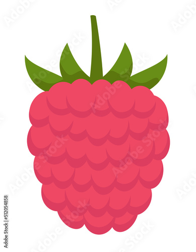Raspberry front view. Berry in cartoon style.