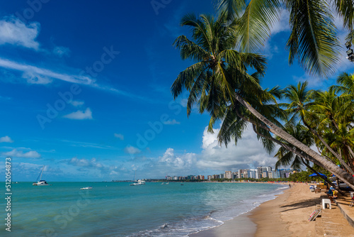 Palm fringed beach, Maceio, Alagoas, Brazil photo