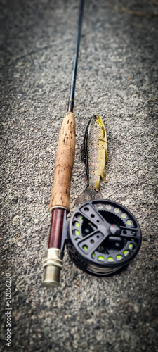 A fly rod, a reel and a fish
