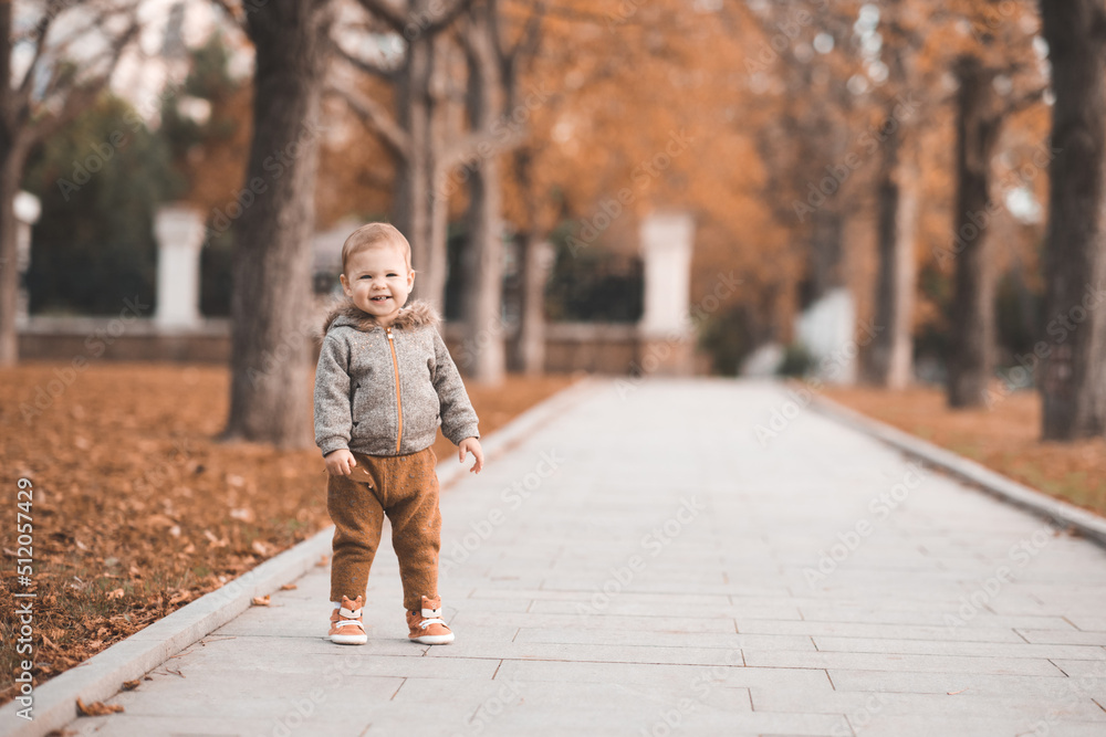Cute baby girl 1-2 year old wear jacket with hood and pants walk in autumn park over fallen leaves and nature outdoors. Fall season. Childhood. Happy cheerful child making first steps.