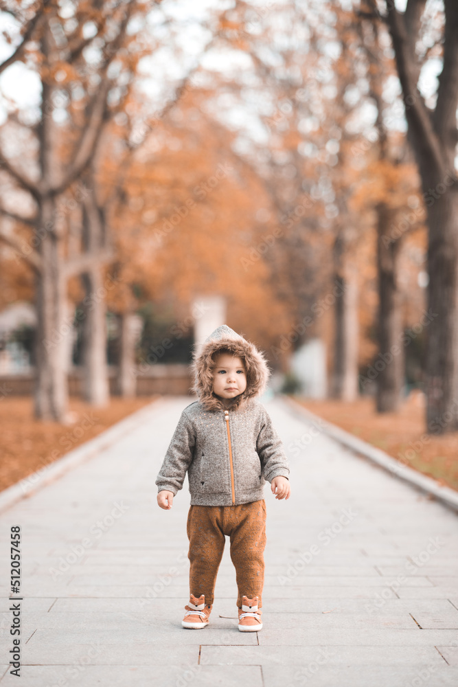 Cute baby girl 1-2 year old wear jacket with hood and pants walk in autumn park over fallen leaves and nature outdoors. Fall season. Childhood. Little child making first steps outside. Cute baby girl 1-2 year old wear jacket with hood and pants walk in autumn park over fallen leaves and nature outdoors. Fall season. Childhood. Little child making first steps outside.