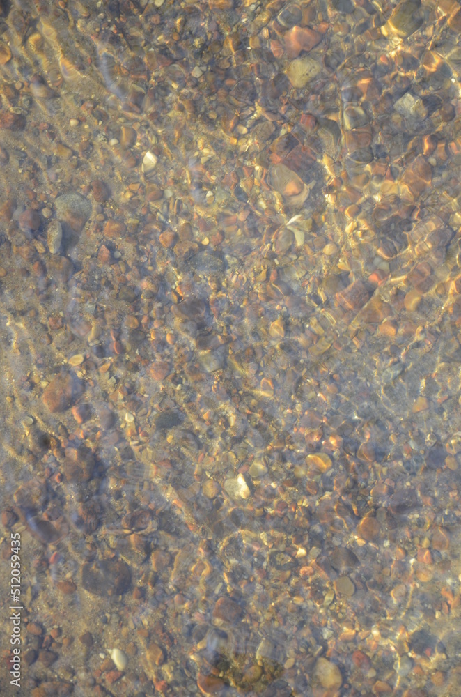photo background of the bottom under water photo background of the bottom under water