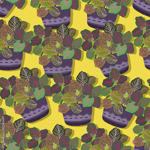 Houseplants. Botanical vector illustration.Variegated plants, multicolored leaves. Fittonia, plant growth. Seamless Pattern. Yellow background, wallpaper