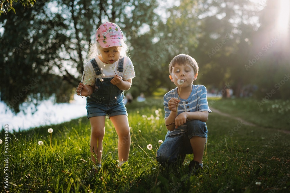 Fototapeta premium Cute little children blowing off dandelion seeds on sunset in park. Photo with backlight