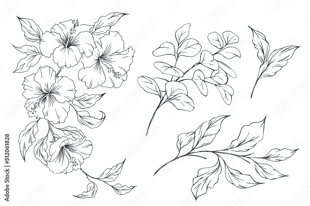 Hibiscus flower. Set of hand drawn sketch exotic flowers and leaves. Vector outline floral design. Black and white line art. Hibiscus flower. Set of hand drawn sketch exotic flowers and leaves. Vector outline floral design. Black and white line art.