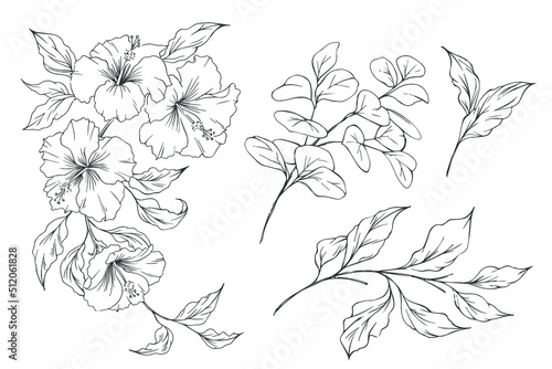 Hibiscus flower. Set of hand drawn sketch exotic flowers and leaves. Vector outline floral design. Black and white line art.