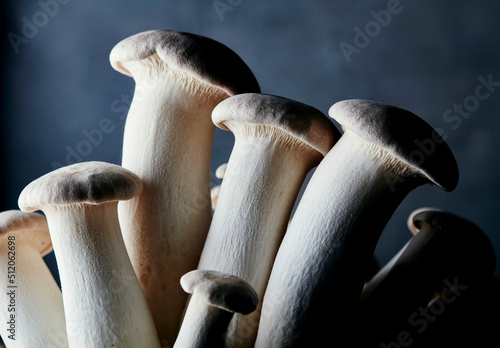 Close up of farmed King Oyster Mushroom photo