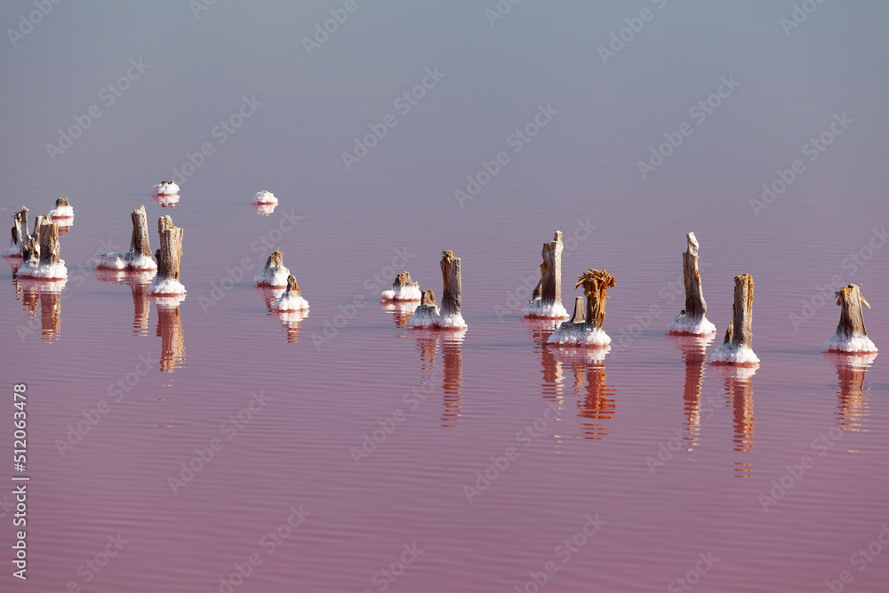 Fototapeta premium Salty pink lake. Landscape. Wooden supports of the old wooden bridge stick out above water surface. Unique color of the lake is given by halophile microalgae Dunaliella salina