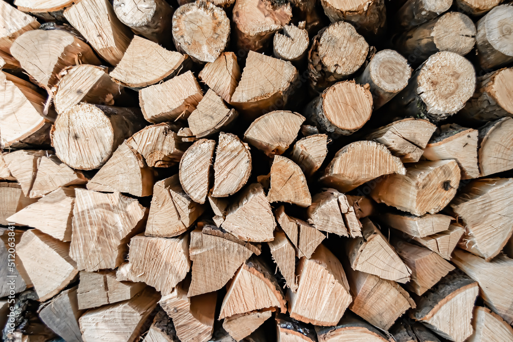 Photography on theme big wall of stacked oak tree logs in cracks Photography on theme big wall of stacked oak tree logs in cracks