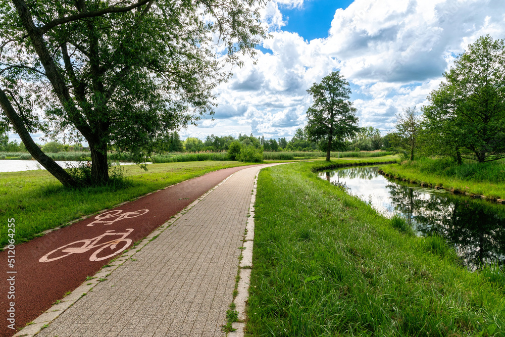 Bike path in spring park