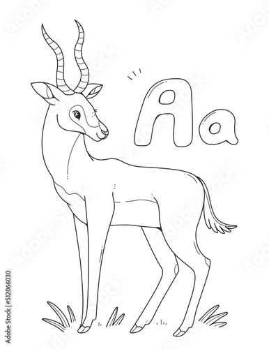 Coloring book with Antelope with English big and small letters A. Children coloring page alphabet. Vector outline illustration with an animal.