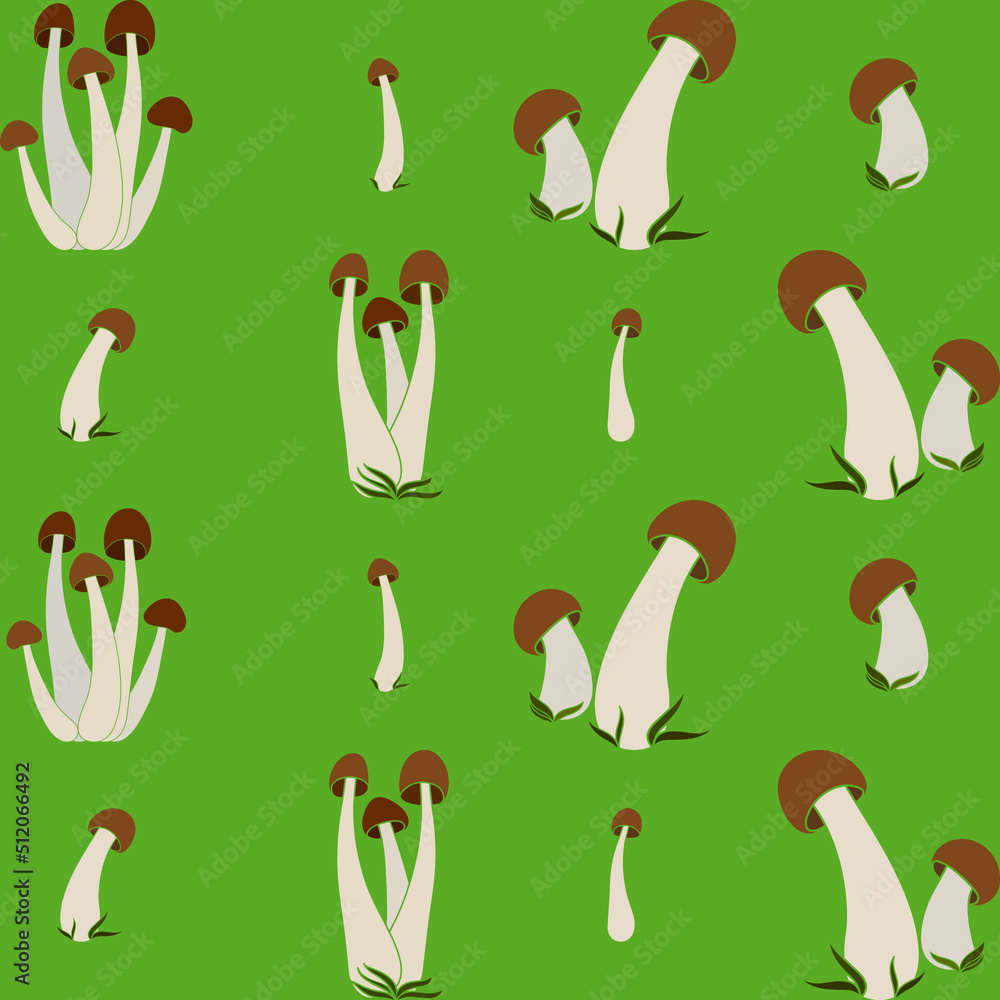 Pattern of mushrooms vector simple background isolated on green background. Coloured hand drawn version. Vector mycology. Natural healthy fungus, autumn design.