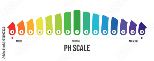 Vector illustration of pH scale isolated on white background. Color pH value scale chart meter infographic. Litmus paper indicator for acid-alkaline solution. 