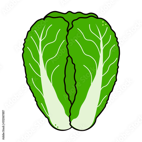 Cute funny Chinese cabbage character. Vector hand drawn traditional cartoon vintage, retro, kawaii character illustration icon. Isolated on white background. cabbage character concept