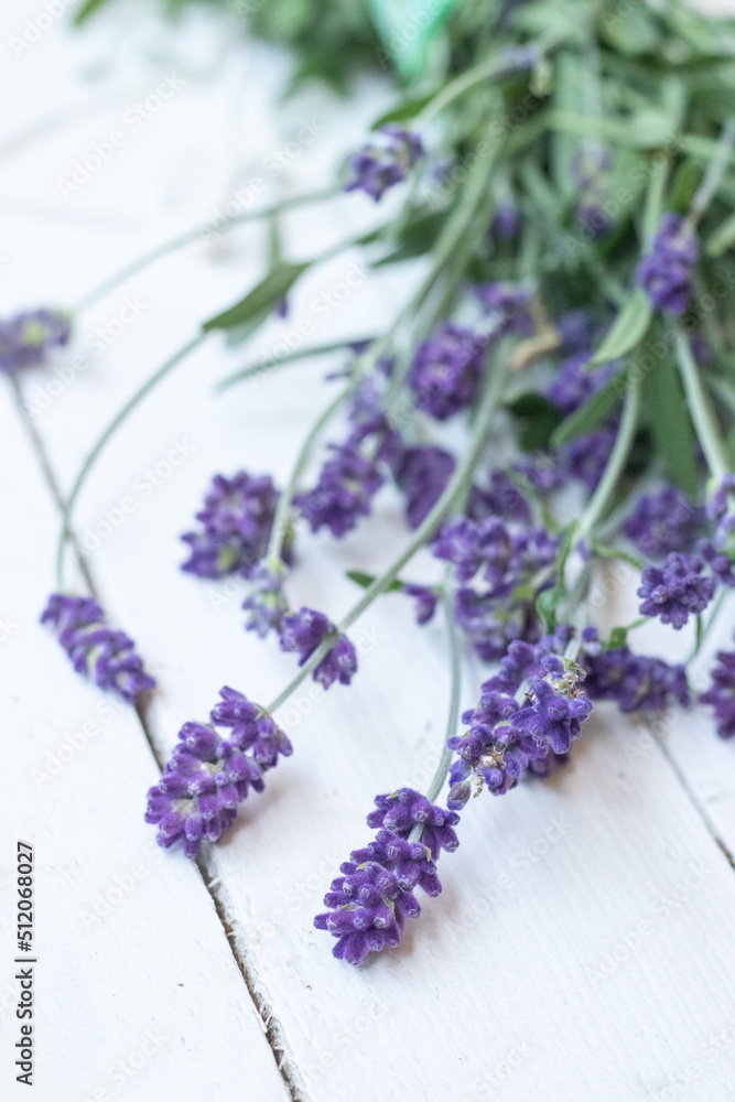 Fototapeta premium Aroma and relax essential flower lavender black and white plant flower violet smell soup oil massage spa therapy cosmetic