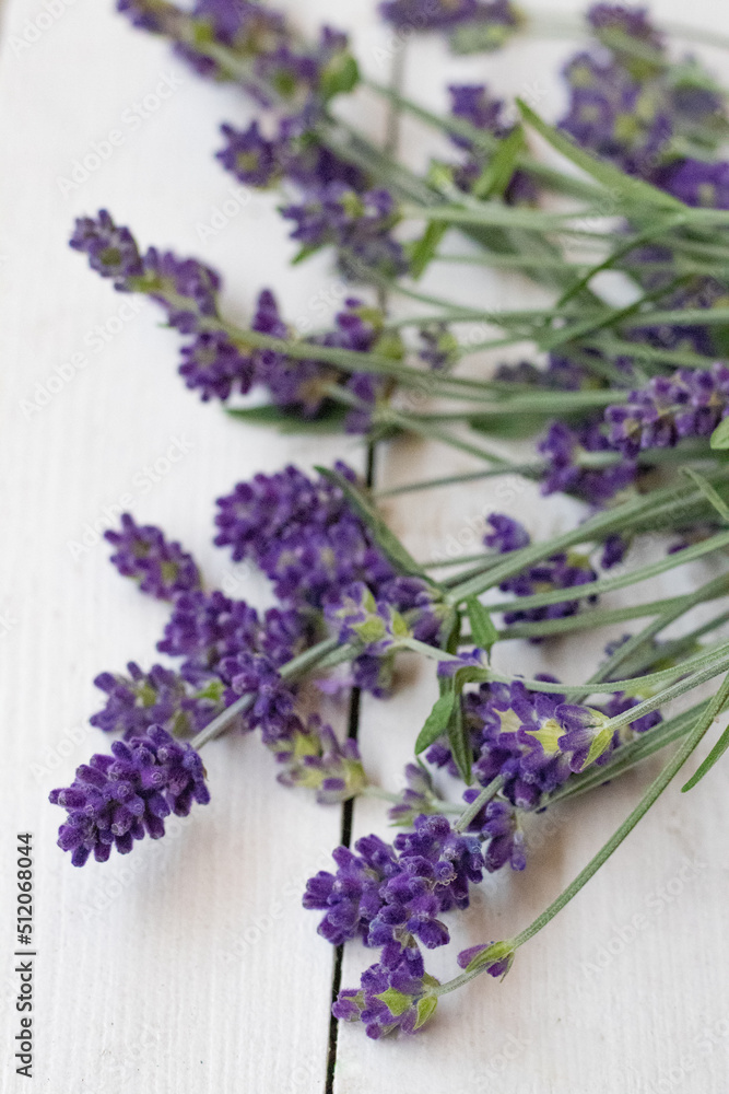Naklejka premium Aroma and relax essential flower lavender black and white plant flower violet smell soup oil massage spa therapy cosmetic