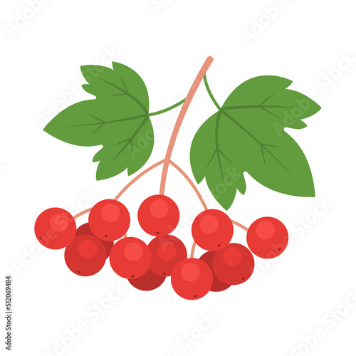 Guelder rose branch isolated on white background. Viburnum opulus, red kalyna or guelder-rose berries with leaves icon. National symbol of Ukraine. Vector fruit illustration in flat style.