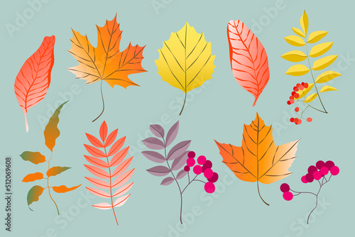 Variety of colorful trendy autumn leaves. Vector illustrations for web, app and print. Elegant shapes floristic isolated gradient leaves. Forest, botanical, minimalistic floral set.