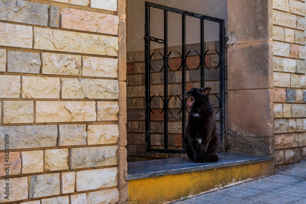 Naklejka premium Czarny kot siedzi w bramie i ziewa.