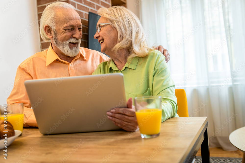 Smiling senior couple using laptop at home in living room. Smiling senior couple using laptop at home in living room.