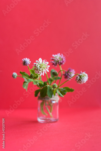 Colorful spring floral background, space for text. natural fashion decorative design. Amazing flowers background. Beautiful view of clover flowers in a vase. Red background