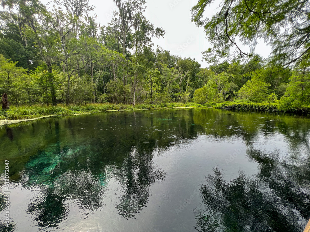 The spring in Ichetucknee State Park in Florida on a sunny day.