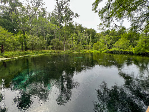 The spring in Ichetucknee State Park in Florida on a sunny day.