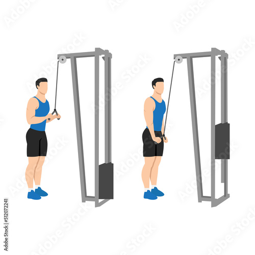 Man doing Reverse grip cable triceps extension exercise. Flat vector illustration isolated on white background