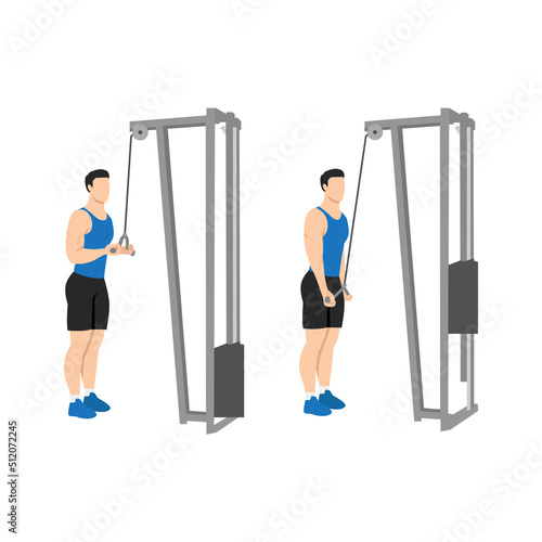 Man doing Triceps presdown  exercise. Flat vector illustration isolated on white background