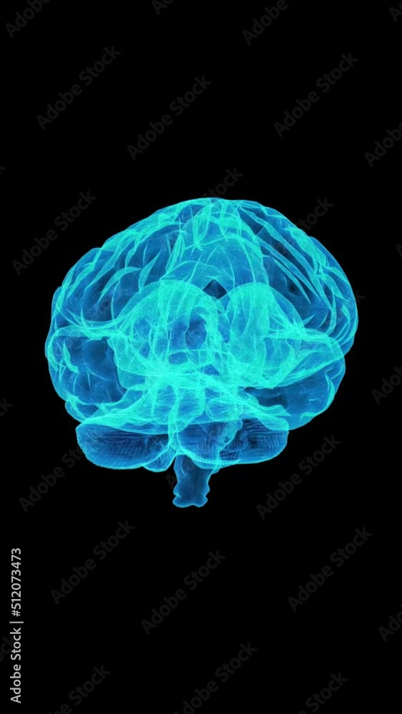 Brian activity scanning. 3D animation vertical Brian activity scanning. 3D animation vertical
