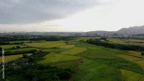 Ricefields in suburbs of Taipei, Taiwan photo