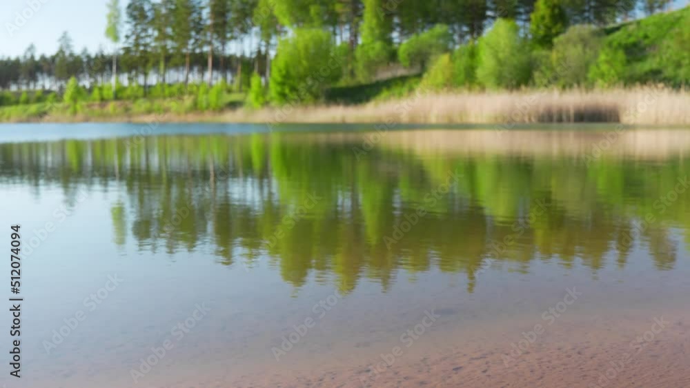 Reflection of green lush forest on water surface, lake in park, warm light Reflection of green lush forest on water surface, lake in park, warm light
