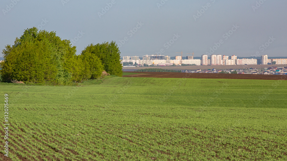 View of the city of Naberezhnye Chelny from a spring green field