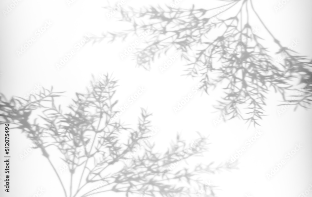 Shadows from plants on a white wall. Pattern from the leaves of flowers, bushes or trees. Beautiful background of plant leaves. Shadows from plants on a white wall. Pattern from the leaves of flowers, bushes or trees. Beautiful background of plant leaves.