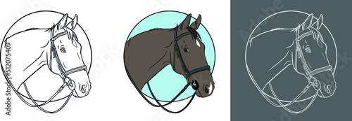 Set of hand drawn heads of a horse with a bridle in the circle. Outline stylized illustration of a horse in retro style. Portrait of a bay horse with an asterisk on its forehead