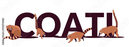 Foto Text Coati is a genus of small mammals of the raccoon family, common in both American continents