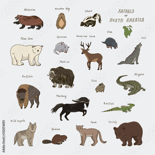 Animals of North America vector illustrations set