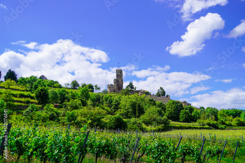 Ruins of Wachenheim Castle near Bad Durkheim. Wachtenburg in Wachenheim on the Wine Route with surrounding nature. 