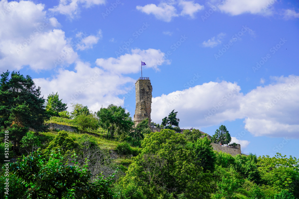 Ruins of Wachenheim Castle near Bad Durkheim. Wachtenburg in Wachenheim on the Wine Route with surrounding nature.
