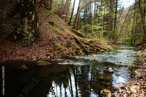 River from Punkva Caves, Moravian Karst, Czech Republic.