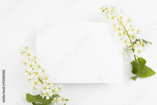 Summer white blank pad for text mockup with white bird cherry flowers, green leaves fly on white background. Holiday floral background for  advertising, branding identity, greeting card, design.