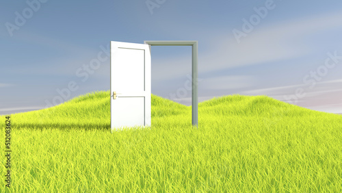 Door on meadow in the empty room with sky background. 3D illustration, 3D rendering 